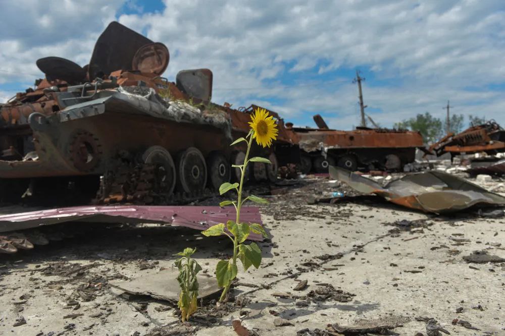 Photo: Wartime Ecological Losses in Ukraine Double in a Year, Exceeding ₴6 Trillion. Source: mepr-gov-ua
