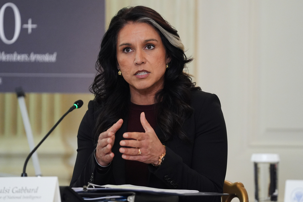 US National Intelligence Director Tulsi Gabbard. Source: AP