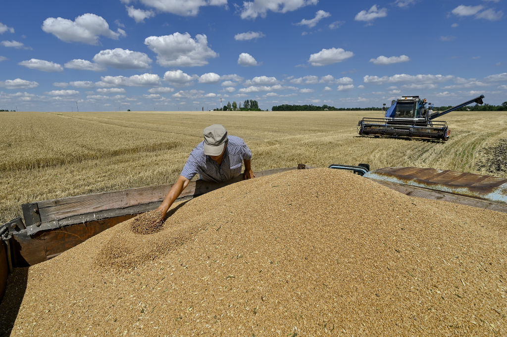 Photo: Norway Backs Ukraine’s Agricultural Recovery With NOK 40 Million. Source: Getty Images