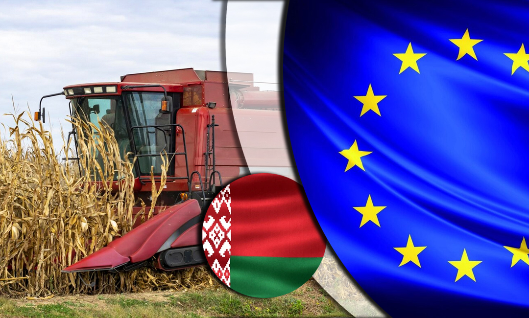 European Parliament Committee Backs 50% Tariff Hike on Russian and Belarusian Agricultural Imports Photo: European Parliament Committee Backs 50% Tariff Hike on Russian and Belarusian Agricultural Imports. Source: The Gaze collage by Leonid Lukashenko