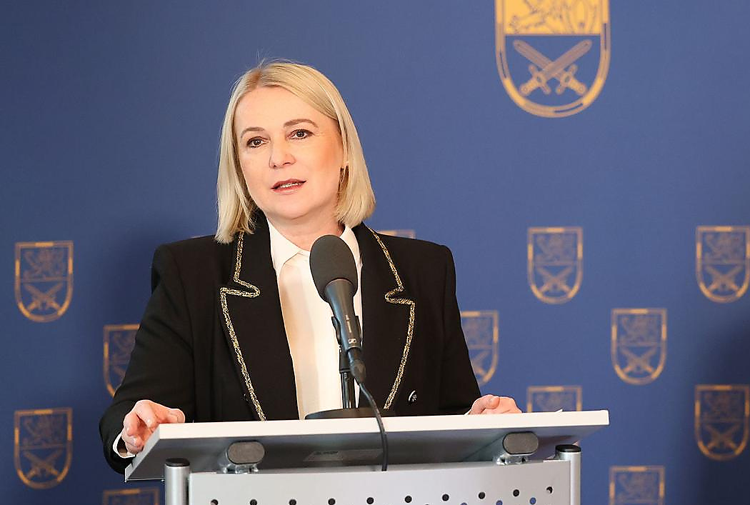 Jana Cernochova Photo: Czech Defence Minister Calls for Exit from UN Over "Support for Terrorists". Source: Facebook / Jana Cernochova