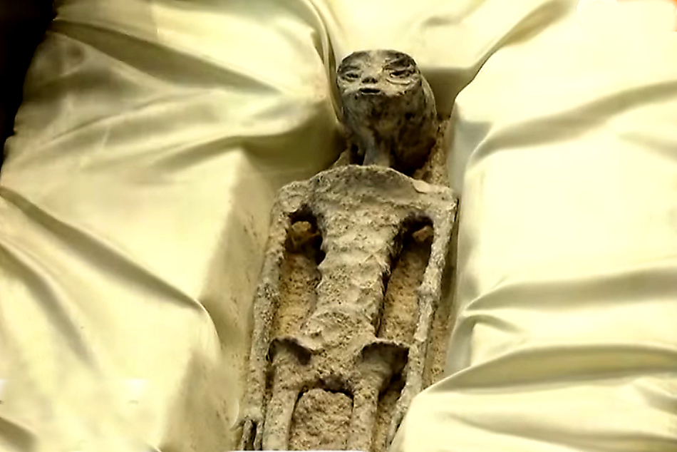Alleged Mummy of an Extraterrestrial Creature Photo: Alien Corpses Displayed At Mexico's Congress. Source: Web Screenshot